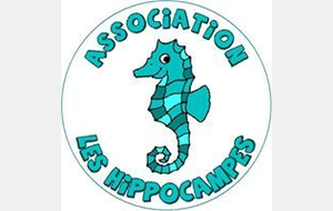Les hippocampes